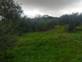 IMG_20230304_140903