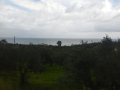 IMG_20230304_141008